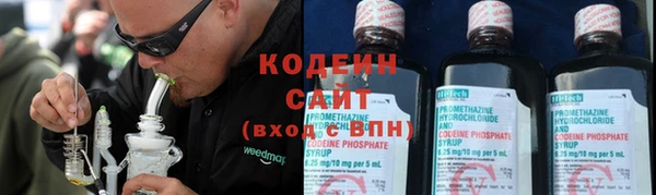 гашик Коряжма
