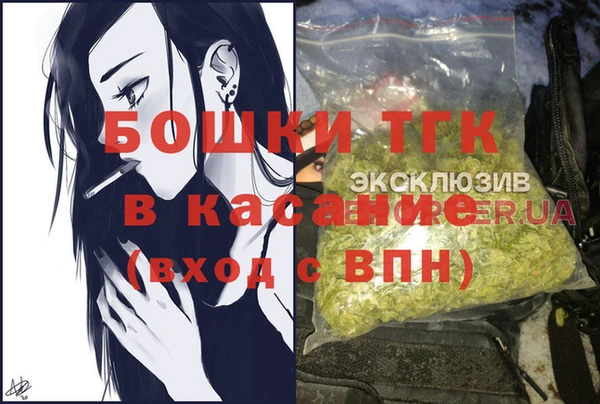 гашик Коряжма