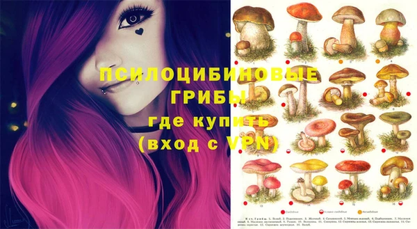 гашик Коряжма