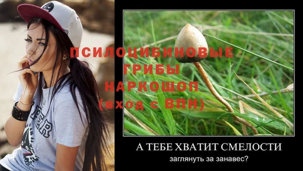 MESCALINE Корсаков