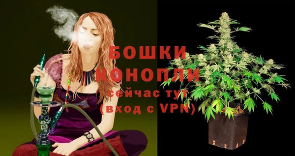 гашик Коряжма