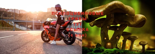 гашик Коряжма