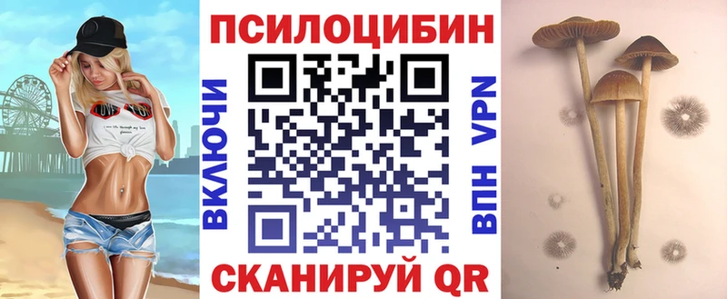 Галлюциногенные грибы MAGIC MUSHROOMS  Муравленко 
