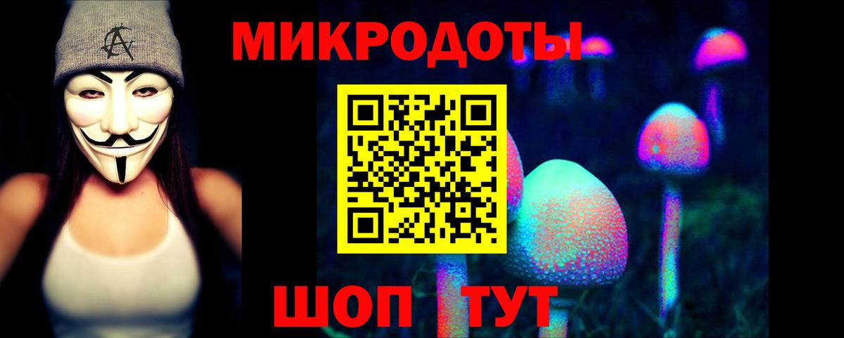Псилоцибиновые грибы Cubensis Муравленко